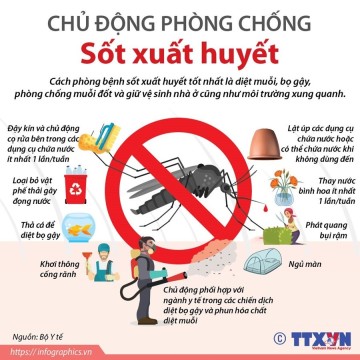 Hãy phòng chống sốt xuất huyết