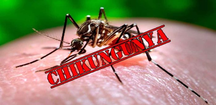 Bệnh do vi rút Chikungunya